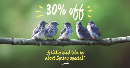 Plantilla de diseño de oferta de pascua con lindos pájaros en la rama Facebook AD 