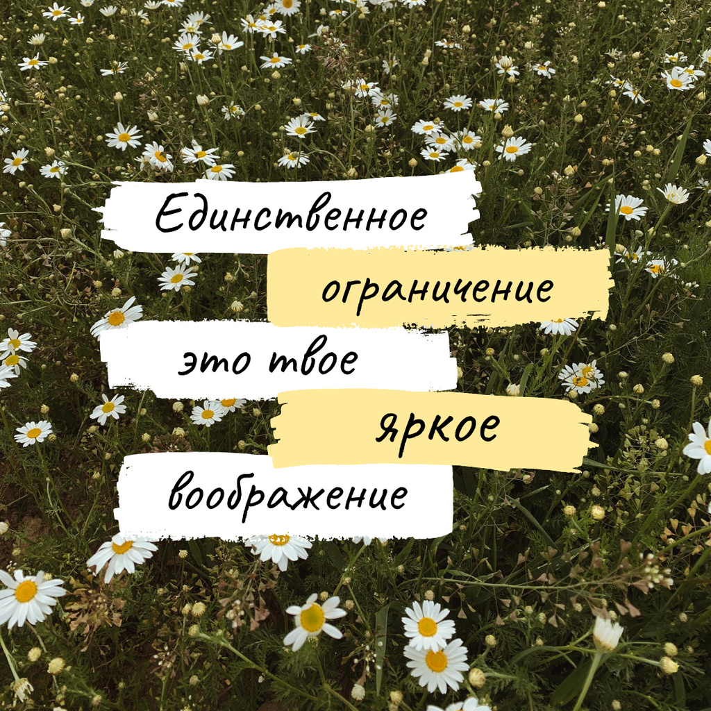 Imagination Quote on blooming Meadow Instagram Šablona návrhu