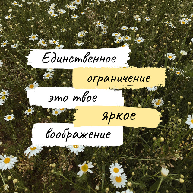 Imagination Quote on blooming Meadow Instagram – шаблон для дизайна