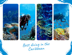 Scuba Diving in the Caribbean with Beautiful Reef