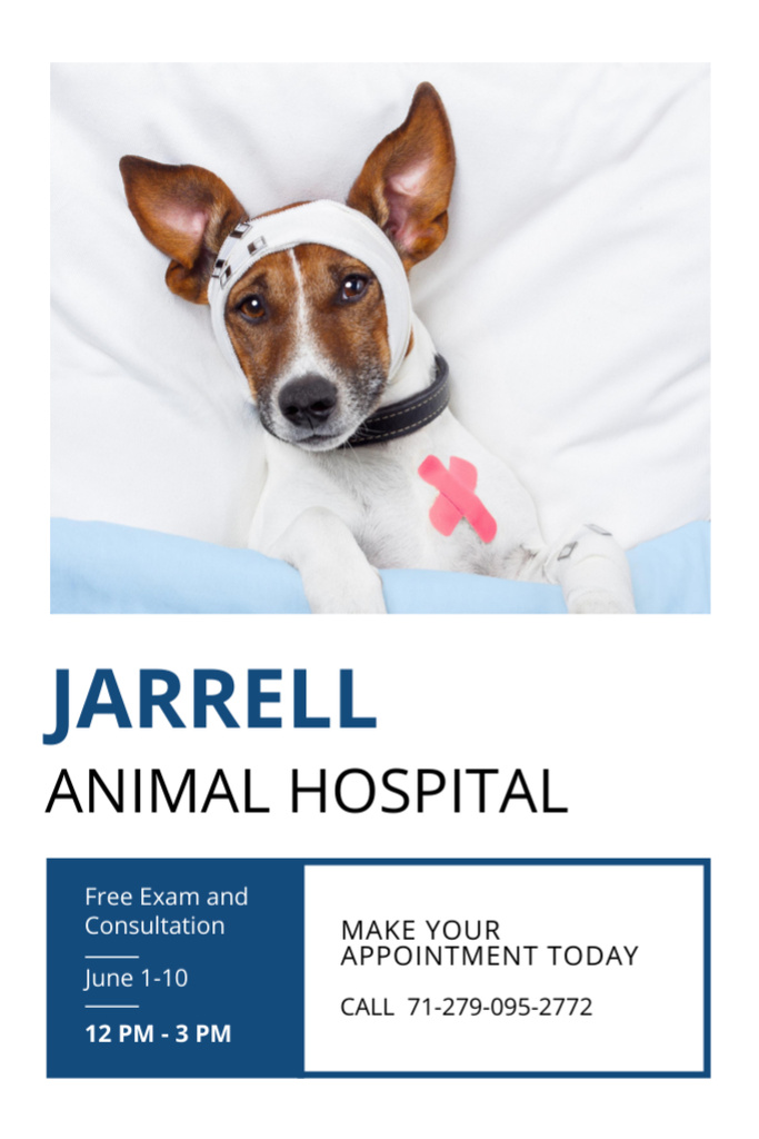 Pet Hospital Ad with Injured Dog Flyer 4x6inデザインテンプレート