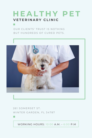 Healthy pet veterinary clinic Pinterest Design Template