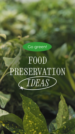 Designvorlage Grundlegende Ideen zur Vermeidung von Lebensmittelverderb für TikTok Video