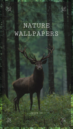 Plantilla de diseño de ciervos en bosque verde Instagram Story 