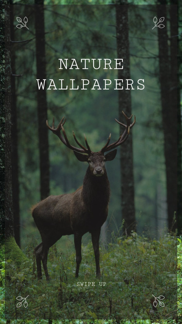 Plantilla de diseño de Deer in Green Forest Instagram Story 