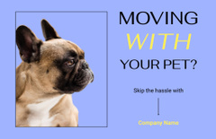 Pet Travel Tips with Cute French Bulldog