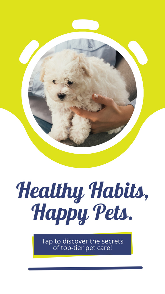 Ontwerpsjabloon van Instagram Story van Tips For Essential Pet Care Offer