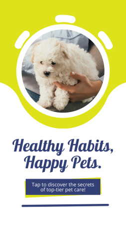 Tips For Essential Pet Care Offer Instagram Story Design Template