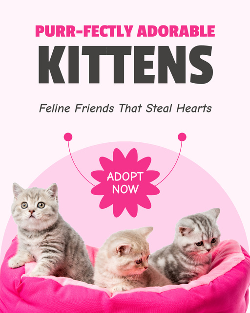 Adorable Kittens Available For Adoption Instagram Post Vertical Šablona návrhu