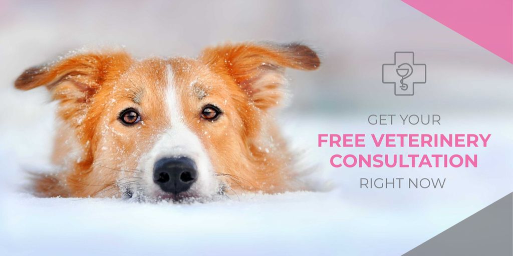 Designvorlage Free veterinary consultation Offer für Image