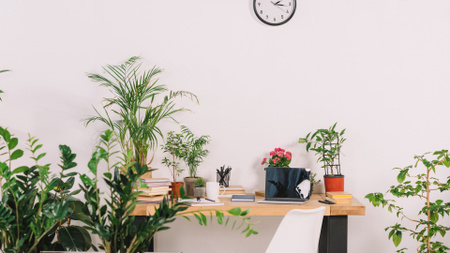 Template di design Accogliente casa di lavoro con vasi di fiori Zoom Background