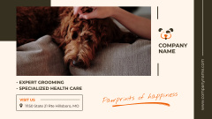 Specialized Care Service For Dogs Offer