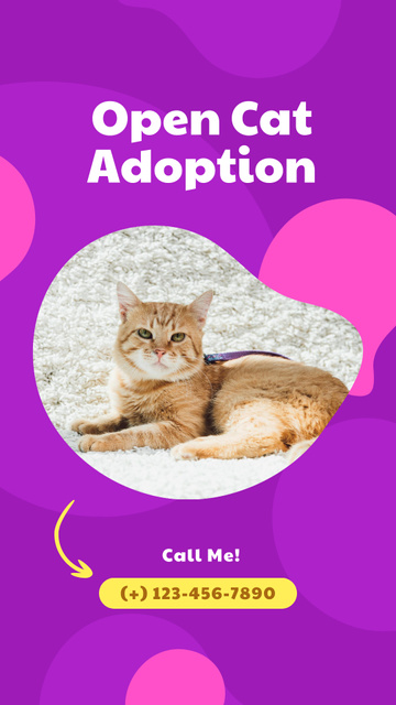 Open Adoption of Cat With Contacts Instagram Story Πρότυπο σχεδίασης