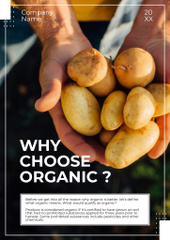 Organic Food Choosing