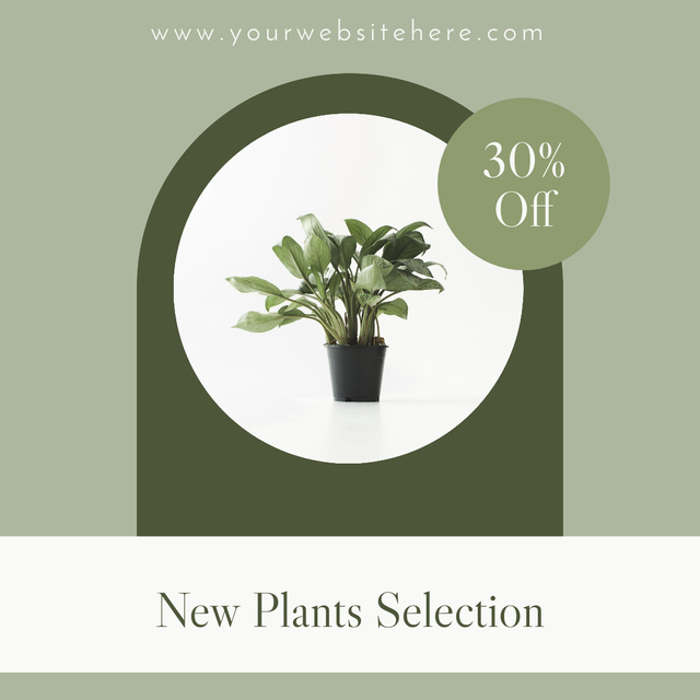 New Plant Collection With Discount Instagram Design Template