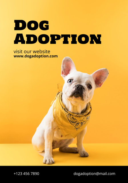 Pets Adoption Club Ad on Yellow Poster 28x40in – шаблон для дизайну