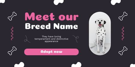 Dalmatian Puppies for Adoption Twitter Design Template