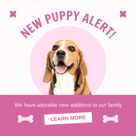 Plantilla de diseño de Nueva alerta de cachorro en rosa Instagram 