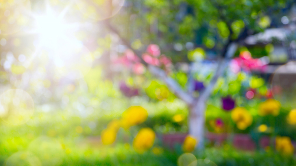 Blurred Spring Garden Zoom Background – шаблон для дизайну