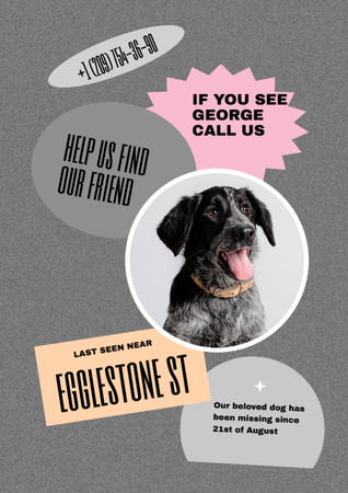 Announcement of Missing Pet with Portrait In Circle Flyer A4 Design Template