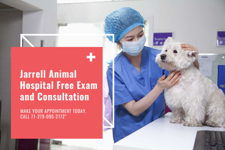 Dog in Animal Hospital Gift Certificate tervezősablon