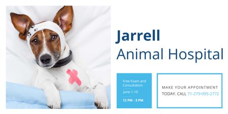 Animal Hospital Ad with Cute injured Dog Image Design Template