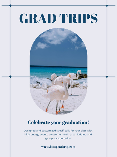 Students Trips Offer with Birds on Tropical Beach Poster US Design Template