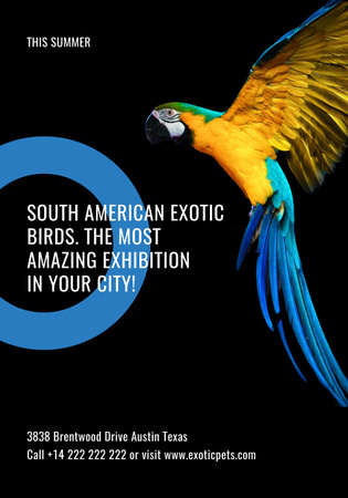 South American exotic birds shop Poster 28x40in Design Template