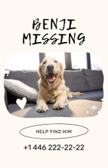 Help to Find Retriever Dog