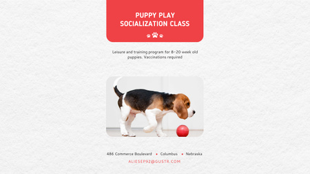 Puppy play socialization class Youtube Design Template