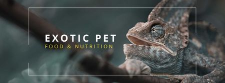 Chameleon reptile care tips Facebook cover Design Template