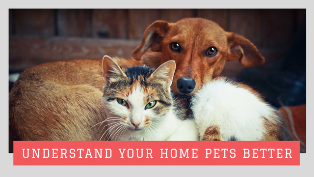 Pets Behavior Understanding With Cute Dog and Cat Youtube Thumbnail Design Template