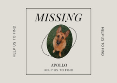 Lost Dog Information with German Shepherd