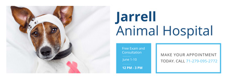 Animal Hospital Ad with Cute injured Dog Tumblr – шаблон для дизайна