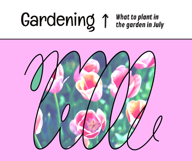 Beautiful Pink Garden Flowers Facebook – шаблон для дизайна