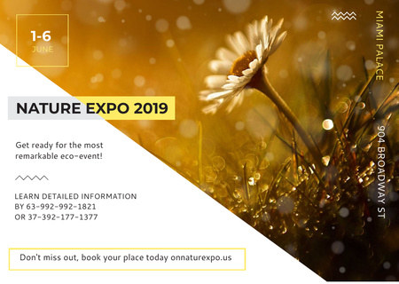 Nature Expo Announcement with Daisy Flower Card Modelo de Design