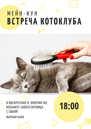 Встреча кошачьего клуба Poster – шаблон для дизайна