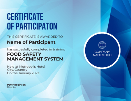 Participation Award in Management System Certificate Šablona návrhu