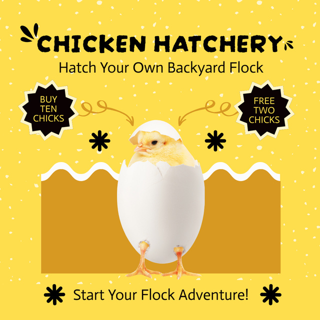 Poultry Sale Offer on Yellow Instagram Design Template