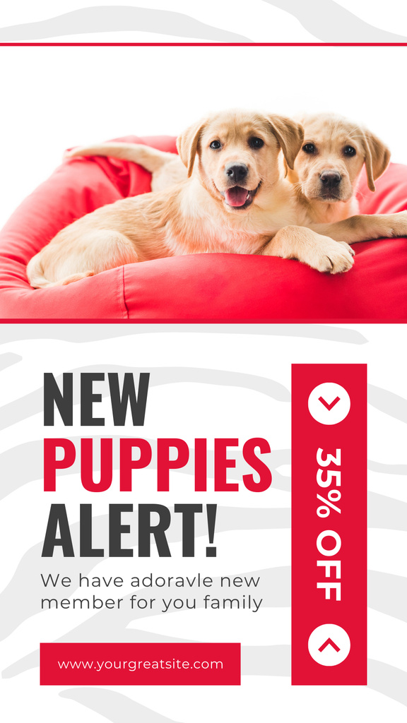 Designvorlage Discount on New Purebred Puppies für Instagram Story