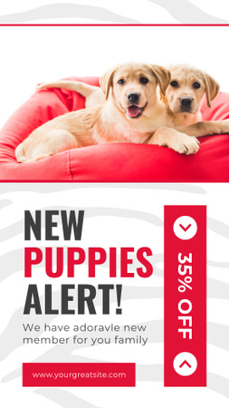 Discount on New Purebred Puppies Instagram Story Design Template