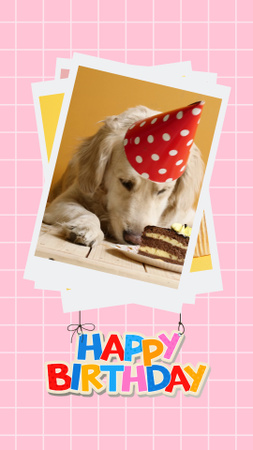 Cupcake And Congrats On Pet's Birthday Instagram Video Story Design Template
