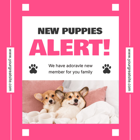 Cute New Puppies Alert Instagram Design Template