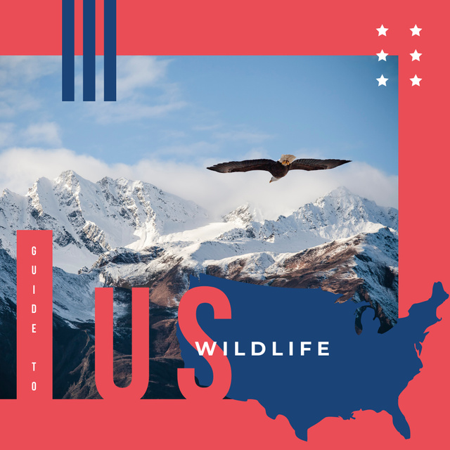 Wild eagle bird in mountains Instagram Design Template