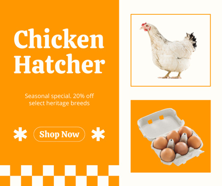 Seasonal Offer by Chicken Hatcher Facebook Design Template