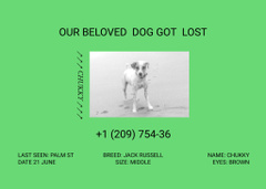 Green Announcement about Missing Domestic Dog