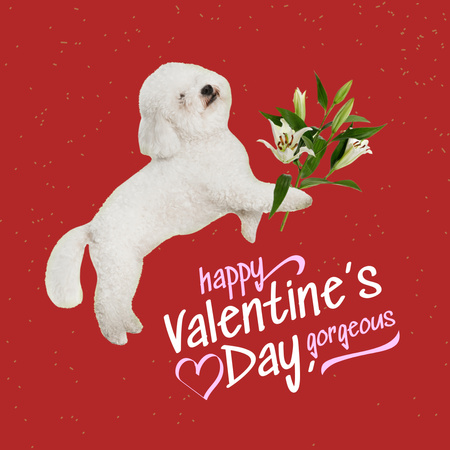 Cute Valentine's Day Holiday Greeting with Fluffy Dog and Flowers Instagramデザインテンプレート