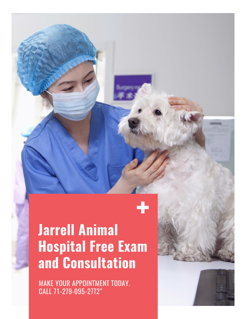 Vet Clinic Ad Doctor Holding Dog Poster 8.5x11in Design Template