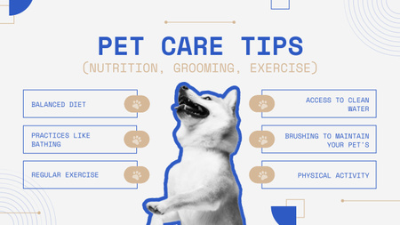 Evcil Hayvan Bakımı İpuçları Listesi Mind Map Tasarım Şablonu