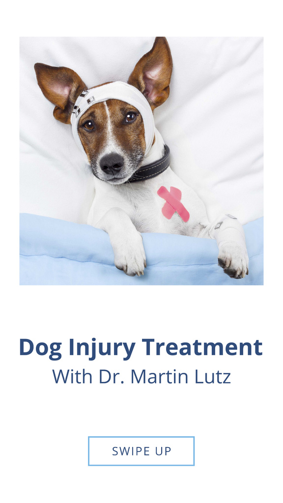 Ontwerpsjabloon van Instagram Story van Dog Injury Treatment Offer